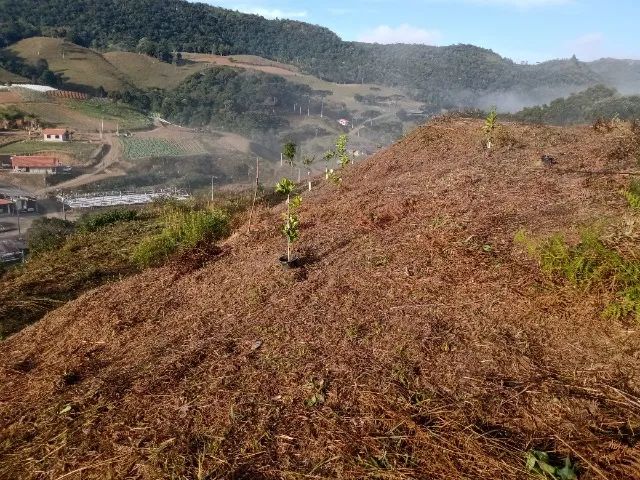 Vendo sítio no Mato Francês-SC Com 4 hectares