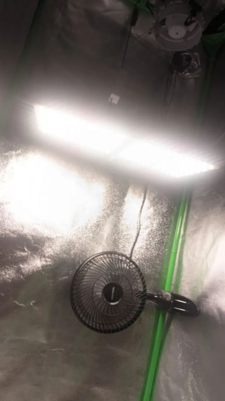 DE CULTIVO INDOOR COMPLETO - Foto 3