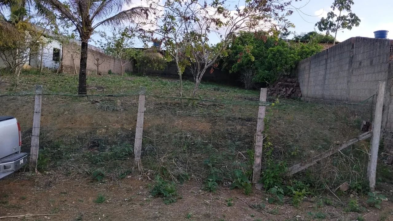 Terreno em Tiuma - Foto 4