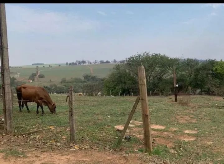 Vendo sítio na cidade de Tatuí SP excelente localização ideal para criação de gado  - Foto 11