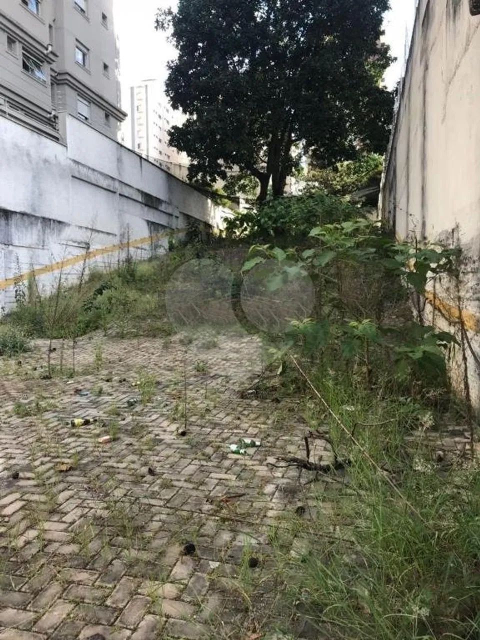 Terreno à venda em Vila uberabinha - SP - Foto 3