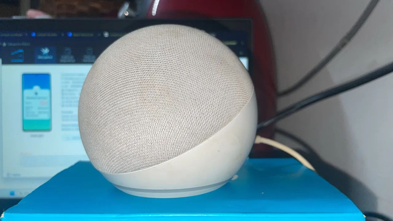 Alexa echo dor