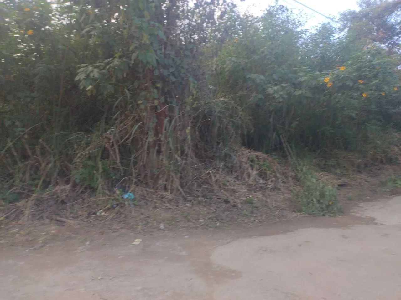 Excelente Terreno No Extensão Serramar  - Foto 3