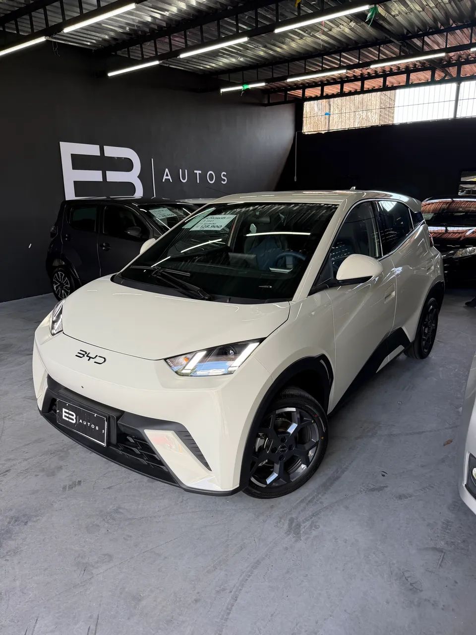 BYD Dolphin Mini (Elétrico) 2027