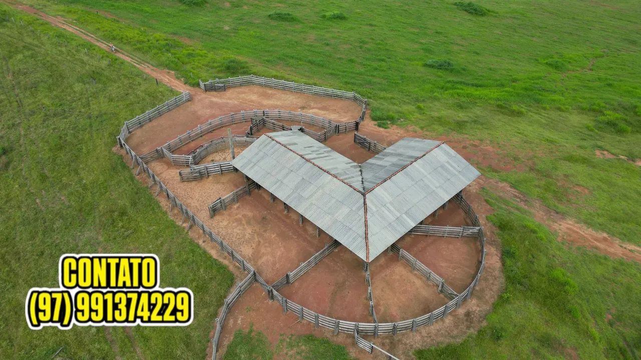 EXCELENTE FAZENDA EM APUÍ AMAZONAS - Foto 3