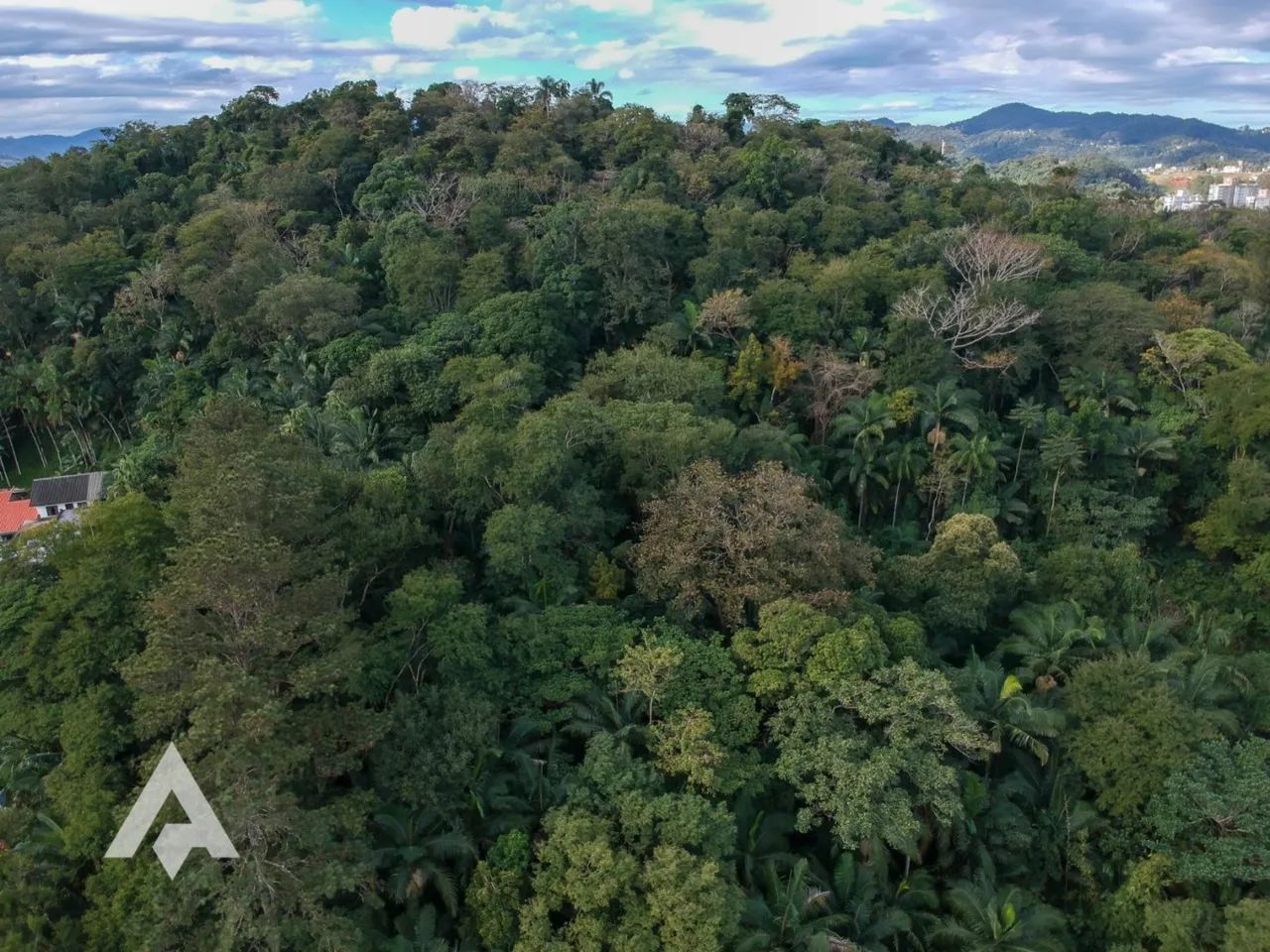 Terreno com 9.805m² à venda por R$ 2.000.000,00 - Bairro Salto - Blumenau/SC. - Foto 12