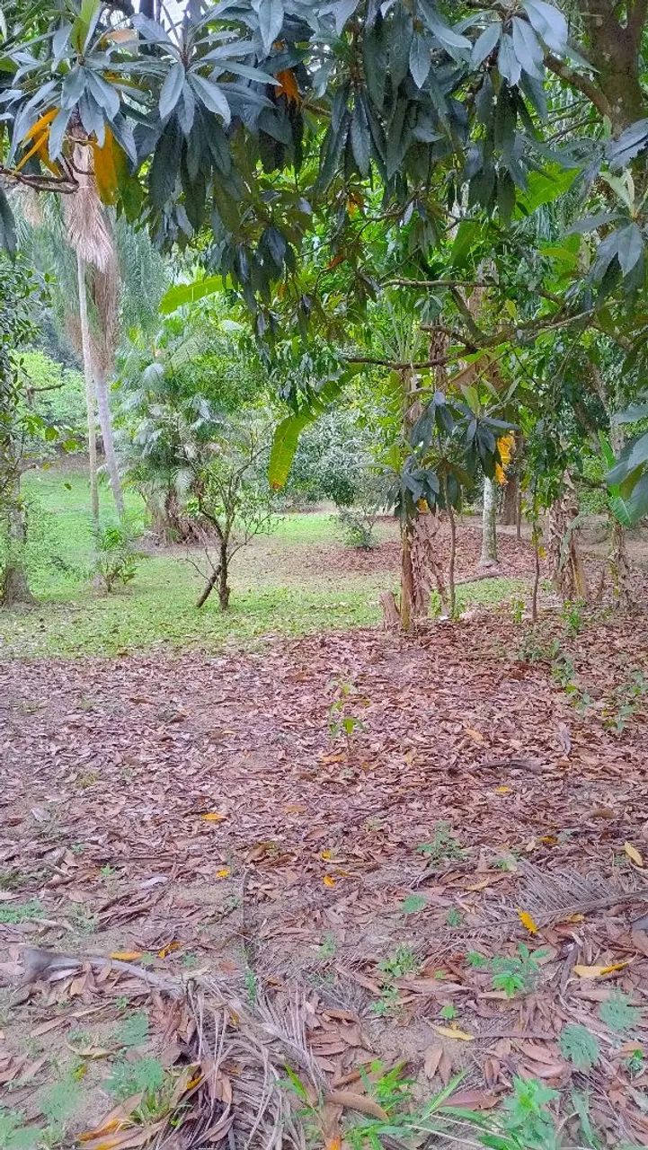 Chacara  - Foto 3