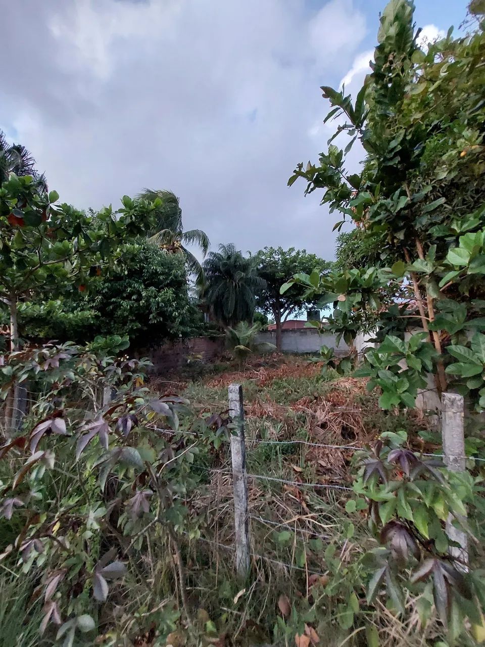 Terreno em catuama 12x30 troco em carro - Foto 2