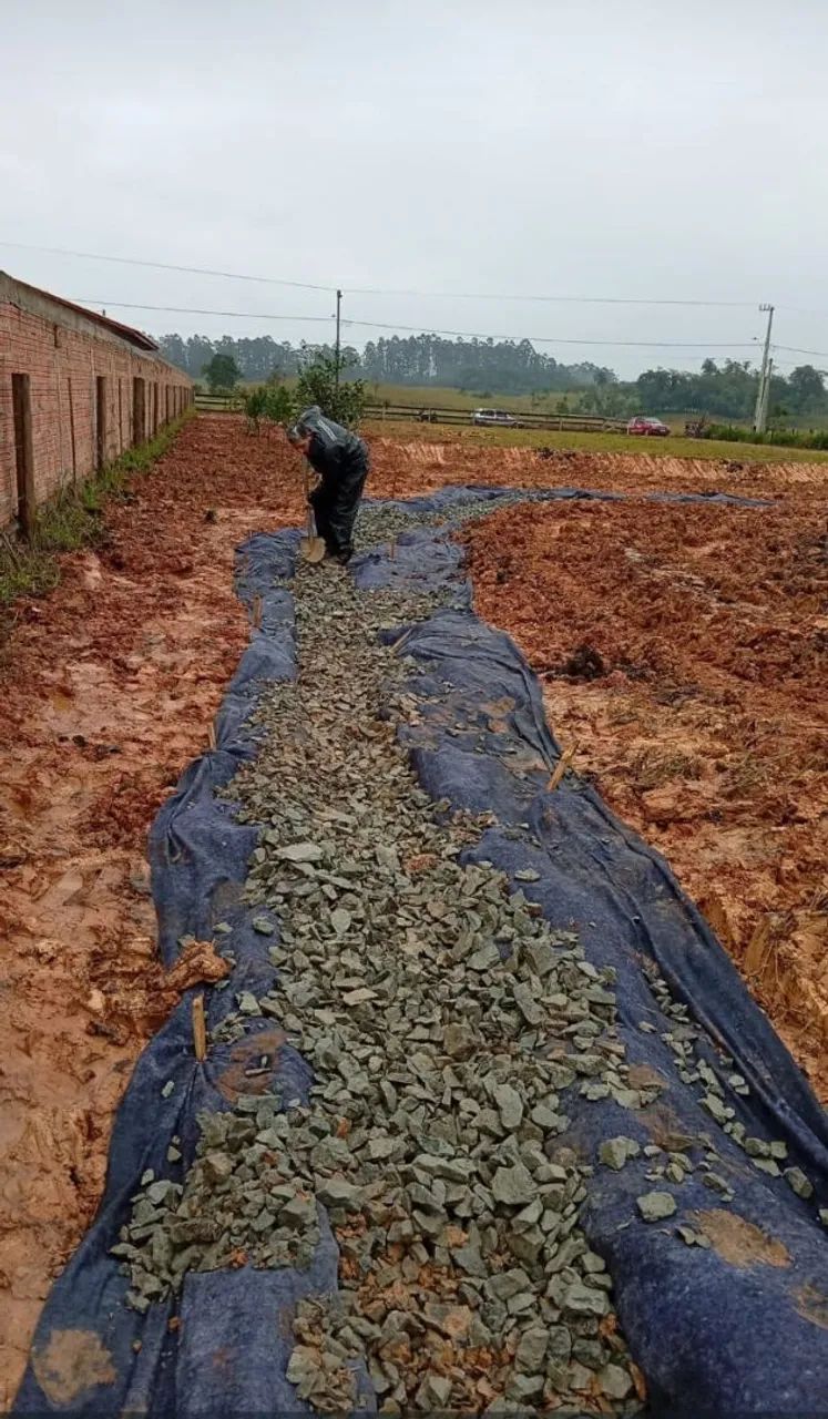 Chácara ou sítio  - Foto 4