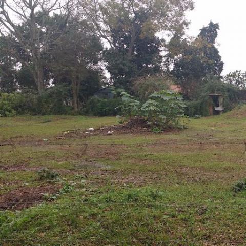 Ter. 16x30 m, V. Cauduro-Boi Morto -Sta. Maria-10001