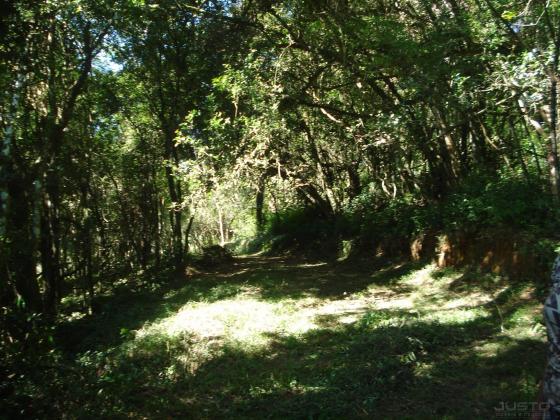 Terreno à venda em Lomba grande, Novo hamburgo cod:8700 - Foto 9
