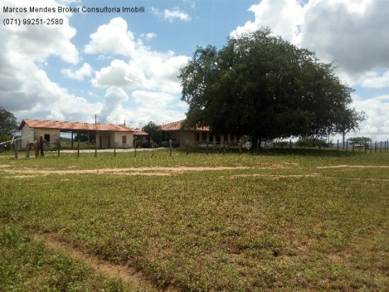 Fazenda a venda em baixa grande - bahia / brasil. - Foto 14