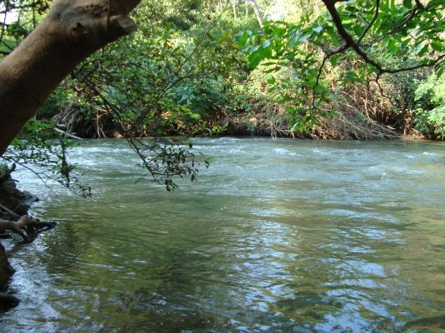Chacara em Nobres - Foto 11