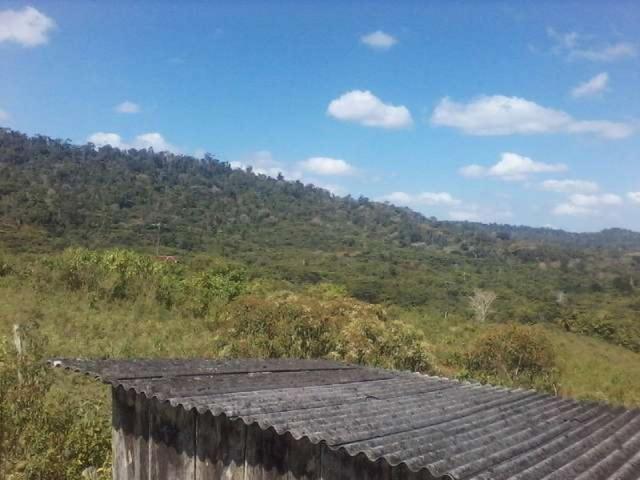 Fazenda de cacau no sul da bahia. mascote - camacã - itabuna - Foto 5