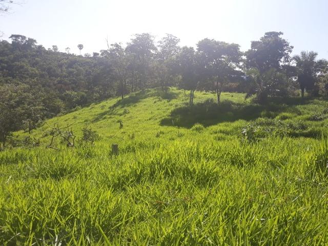 Chácara de 54 hectares, chapada,sendo 33 formado - Foto 7