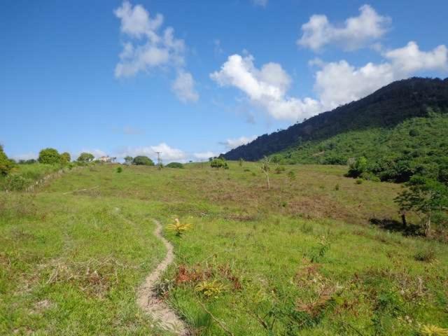 Fazenda de cacau no sul da bahia. mascote - camacã - itabuna - Foto 8