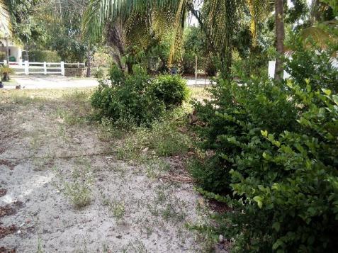 Terreno excelente no resort busca vida. camaçari, bahia. 740m² - Foto 6