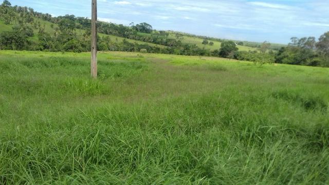 Santo Antônio do Descoberto - Goiás - Foto 4