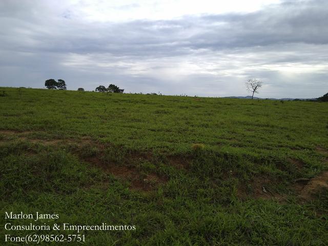 Fazenda em Americano do Brasil! - Foto 5