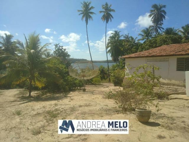 Chacara na Margem da Lagoa em Jequiá! - Foto 4