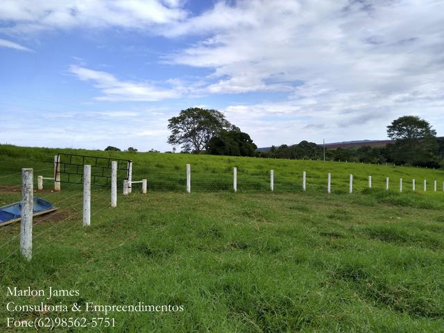 Fazenda em Americano do Brasil! - Foto 11