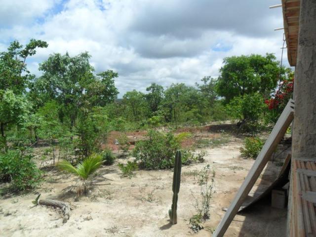 Chácara à venda com 3 dormitórios em Zona rural, Três marias cod:394 - Foto 12