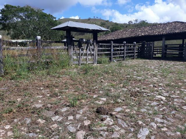 Fazenda Almadina - Foto 2