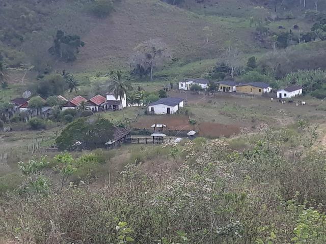 Fazenda Almadina - Foto 4