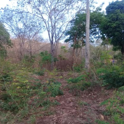 Chácara à venda em Zona rural, São gonçalo do abaeté cod:679 - Foto 6
