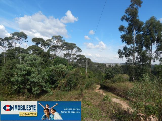 Terreno à venda em Lustosa arroio grande, Ipiranga cod:10330.1860 - Foto 3