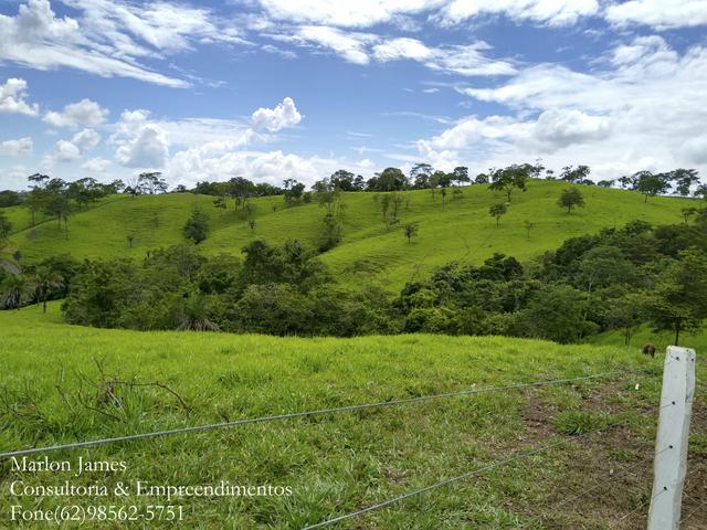 Fazenda em Americano do Brasil-Go!