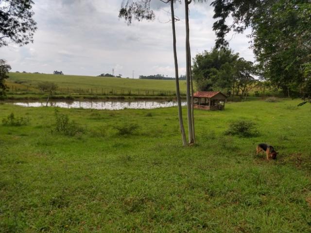 Sítio 4,1 hectares - volta do anacleto - montenegro - rs - Foto 20
