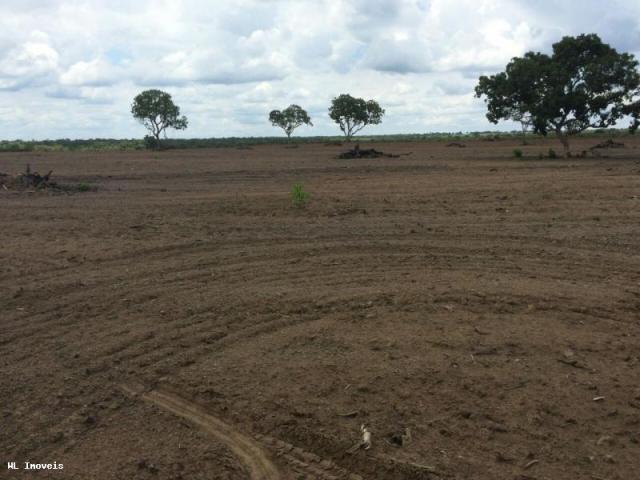 Fazenda para Venda em Gurupi, Área Rural de Gurupi, 3 dormitórios, 2 banheiros, 5 vagas - Foto 18