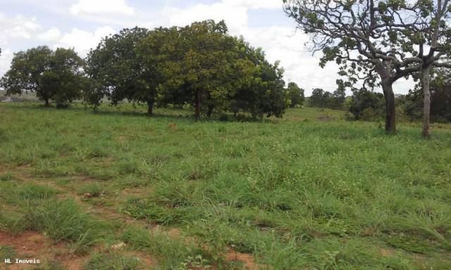 Fazenda para Venda em Gurupi, Área Rural de Gurupi, 3 dormitórios, 2 banheiros, 5 vagas - Foto 11