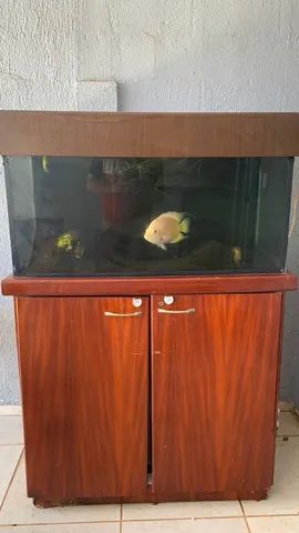 Aquário 360 litros + Sump 250 litros - Foto 3