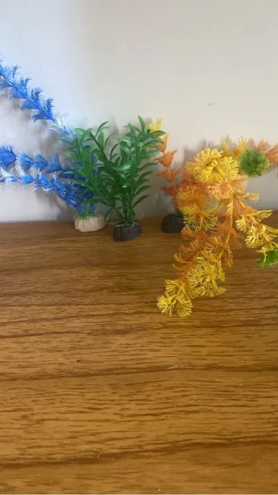 Aquário 28 Litros Completo - Foto 2