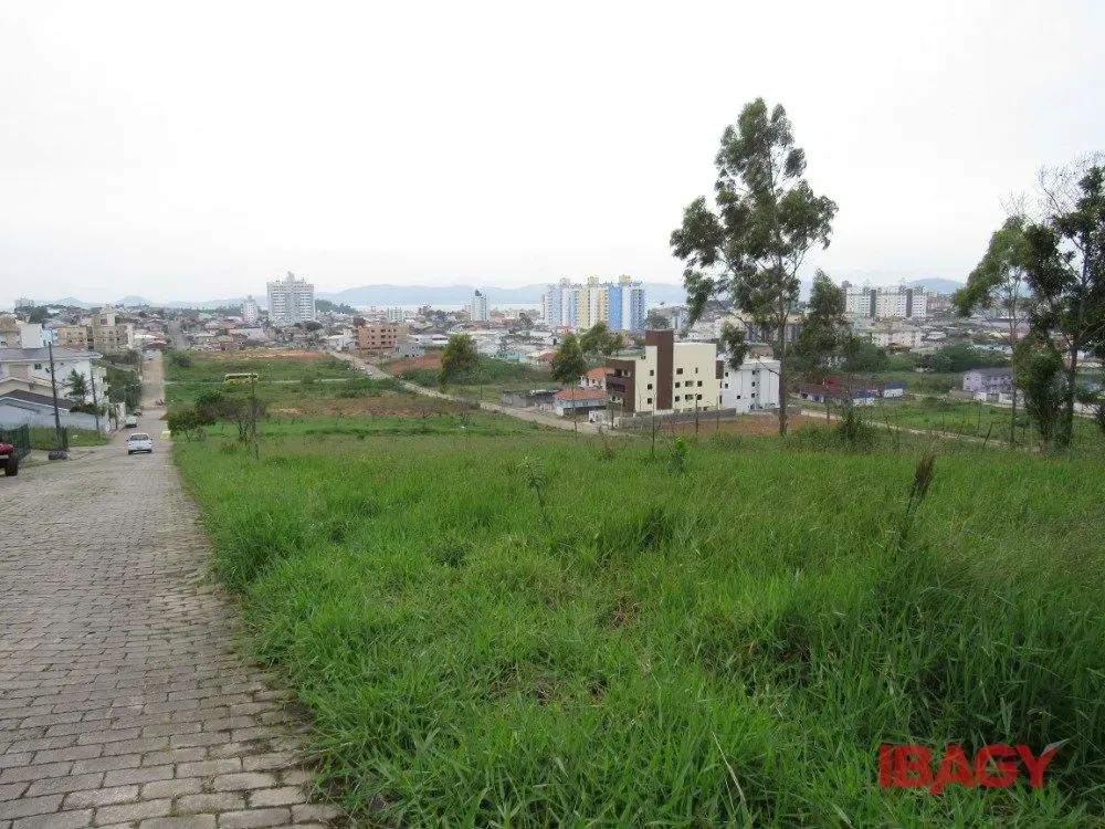 Oportunidade! Terreno em Areias - São José - Foto 2