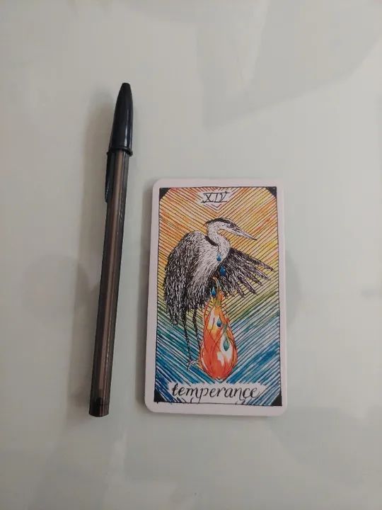 The Wild Unknown Tarot RÉPLICA CHINESA  - Foto 4