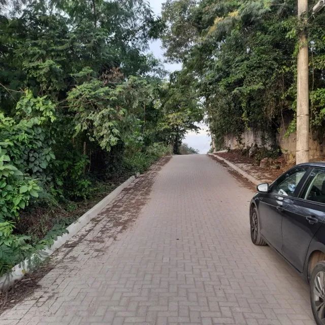 Engenho do Mato rua pavimentada lindo lote - Foto 2