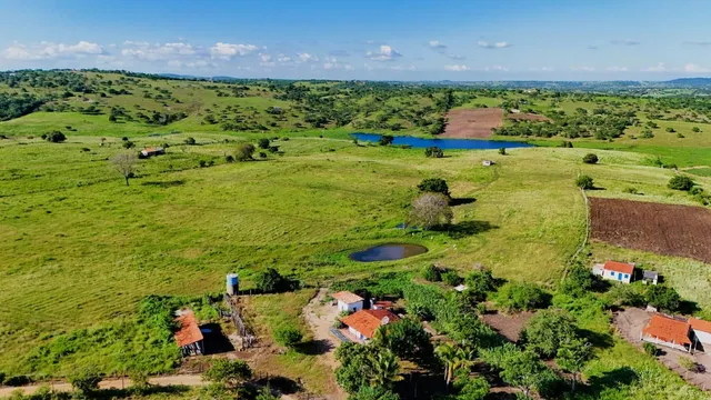 Fazenda em Santo Estevão Bahia ( arrendamento ou aluguel )