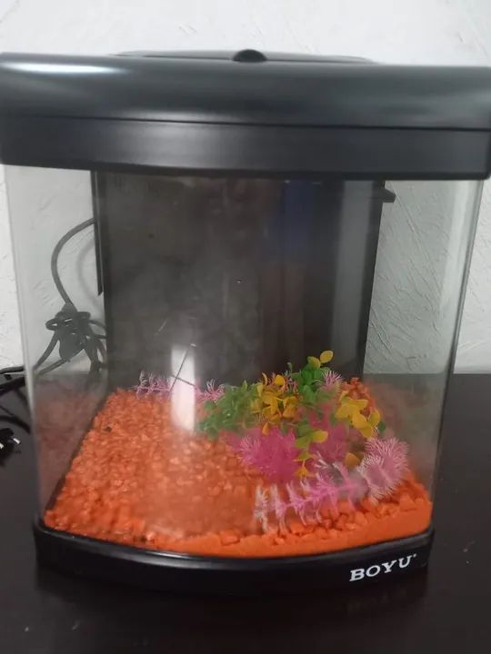 Aquário Decorativo BOYU