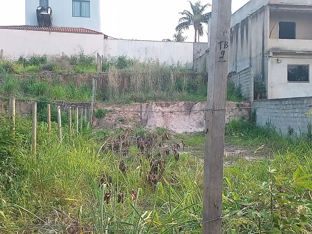 TERRENO NA PRAIA  - Foto 2