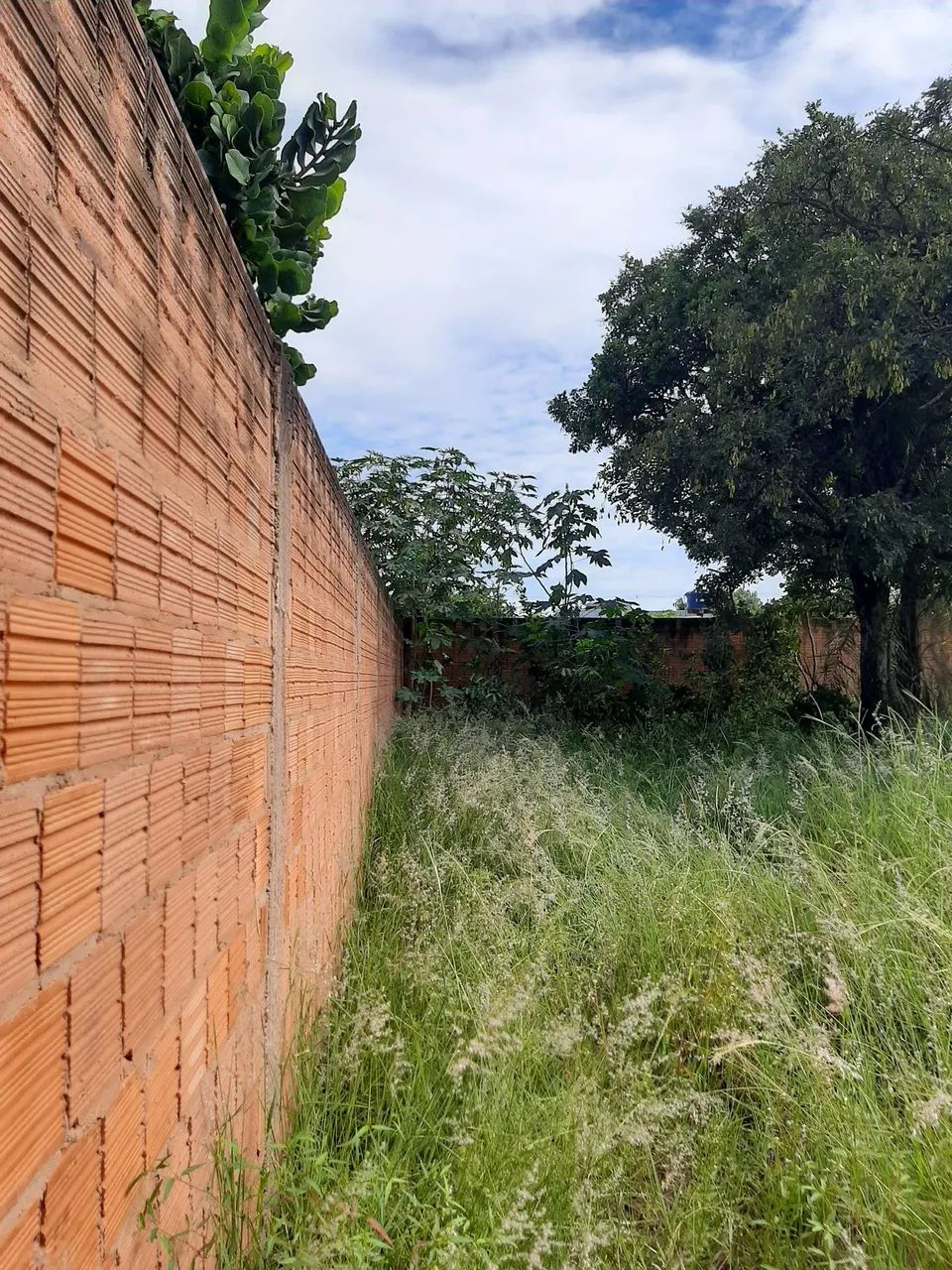 Vende-se  dois terrenos jardim  Novo seculo - Foto 3