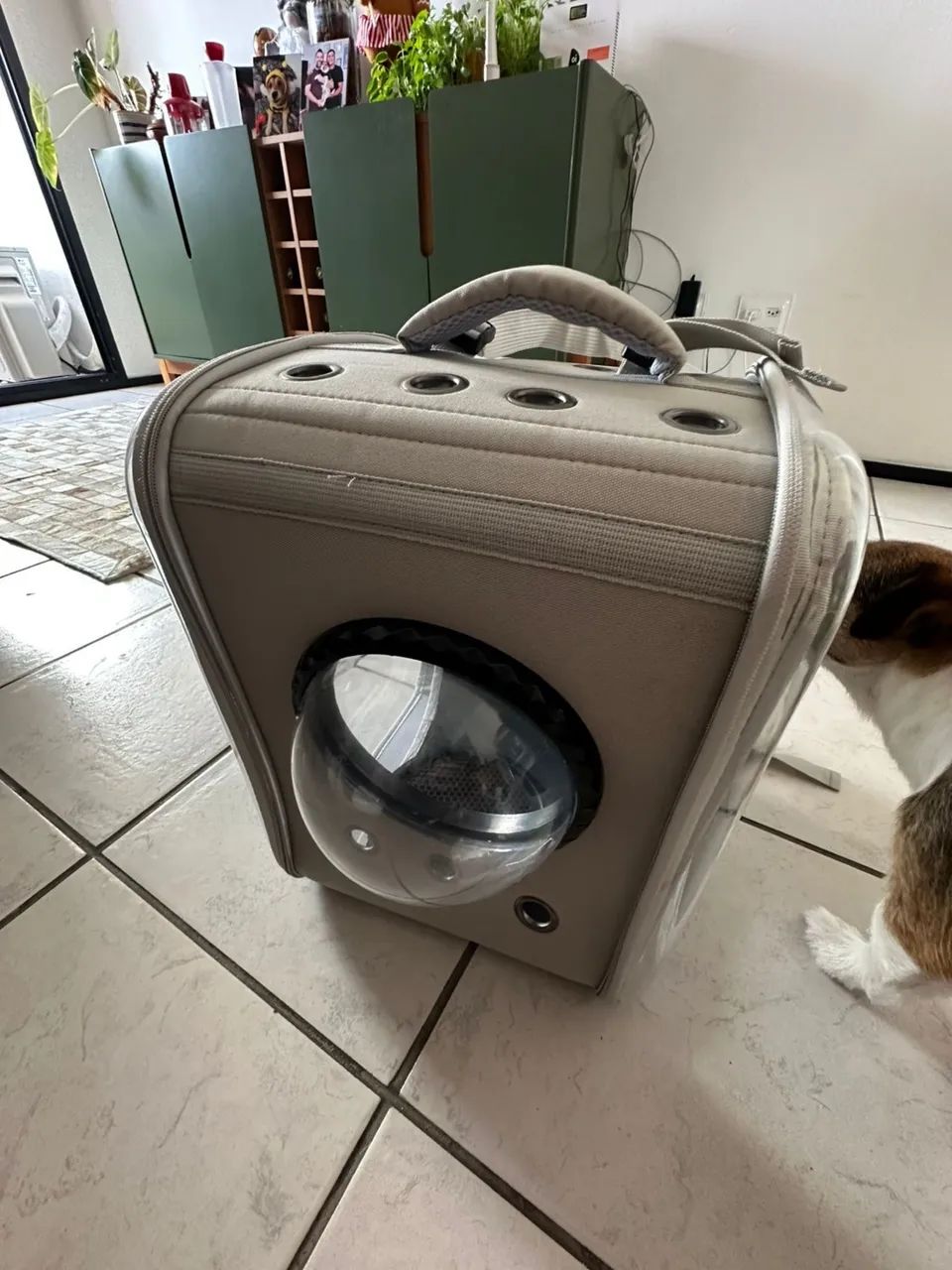 Mochila transporte pet64860947675393120
