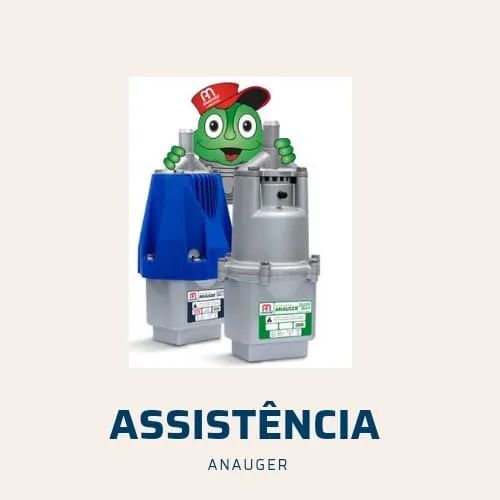 Assitência Técnica Anauger Loja fer