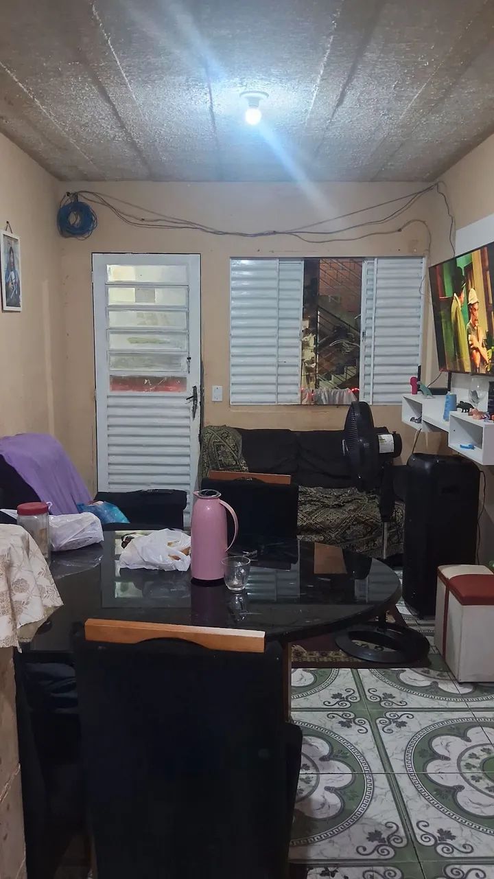 Foto - Manaus - Raiz