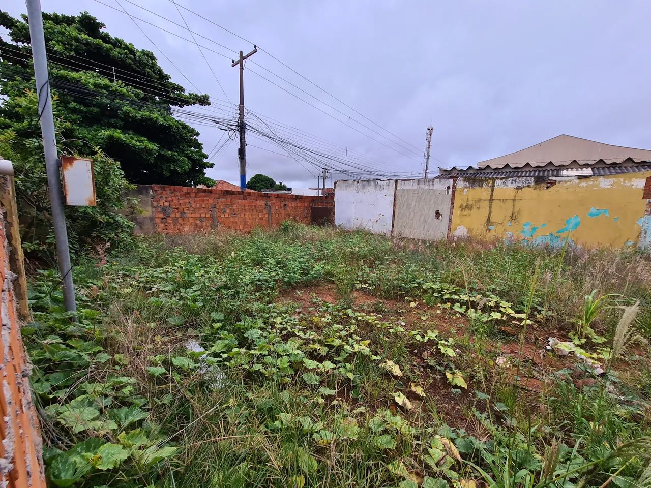 Terreno de esquina bairro Guanandi - Foto 4