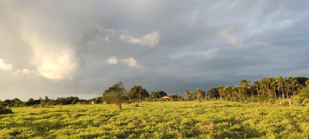 SÍTIO EM SÃO GONÇALO - 19,9 - Foto 3