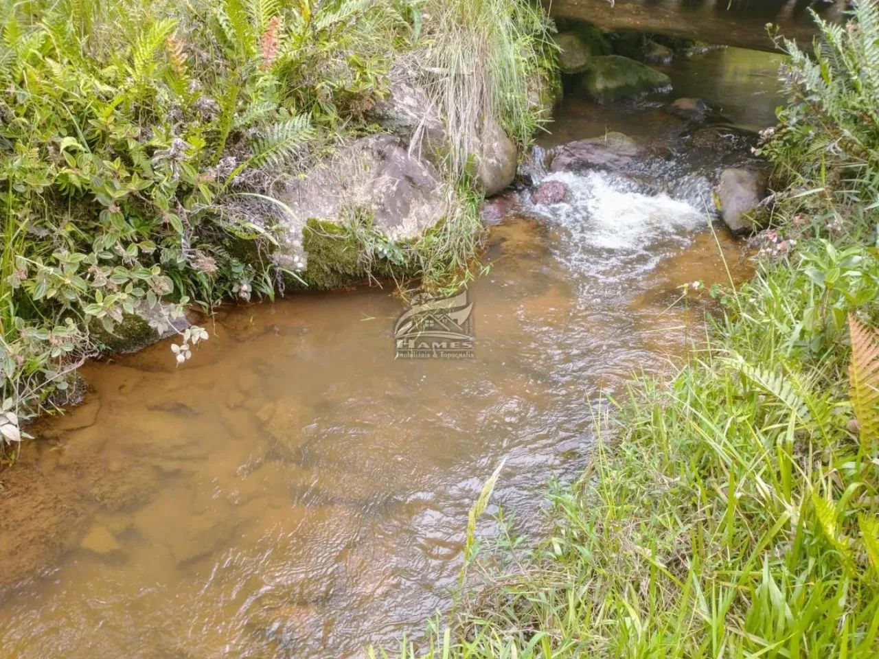 Terreno Rural para Venda em Angelina, TERCEIRA LINHA - Foto 2
