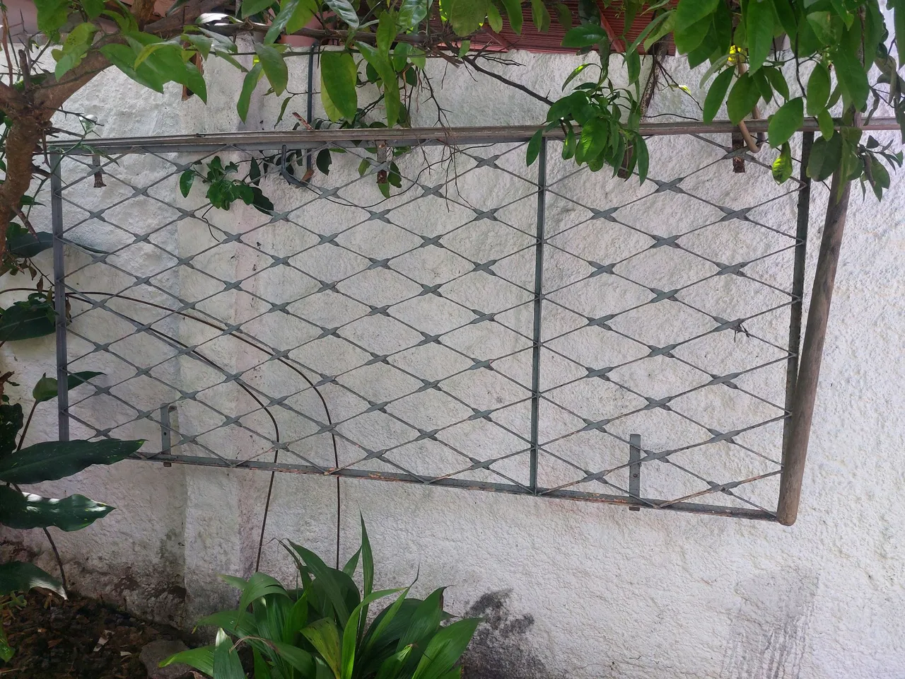 Grade losango Proteção em Metal para porta